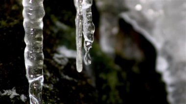 Icicle damlar, buz saçağı eriyor