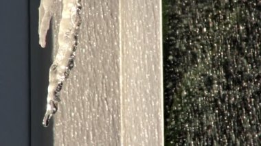 Icicle damlar, buz saçağı eriyor