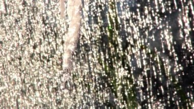 Icicle damlar, buz saçağı eriyor