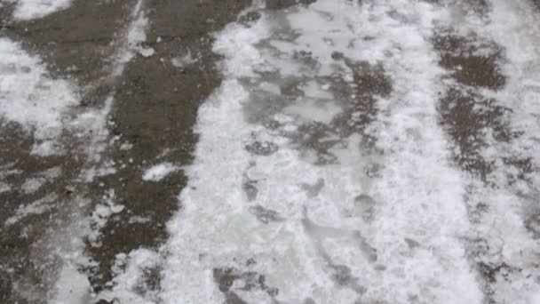 Hoarfrost dal ve çim, Frost'un üzerinde bir çam dalı — Stok video