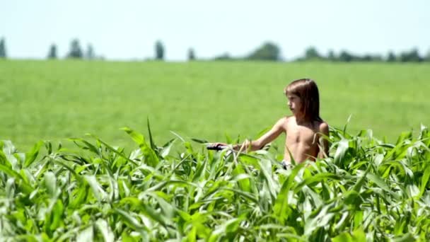 Jongen rusten in een veld, jongen dagdromen in een veld alleen, jongen rusten in een veld — Stockvideo