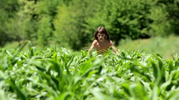 Niño descansando en un campo, niño soñando despierto en un campo solo, niño descansando en un campo — Vídeos de Stock