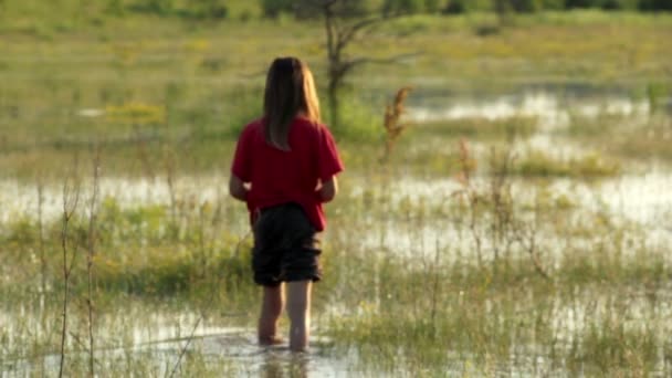 Niño en un prado inundado, chico pantano explora, naturaleza salvaje — Vídeos de Stock