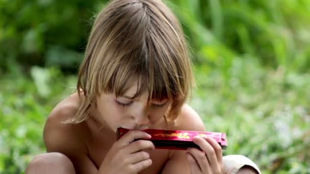 Pequeño niño tocando la armónica — Vídeos de Stock