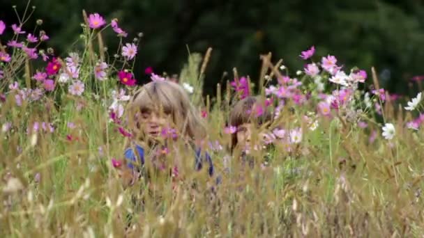 Crianças brincam com flores silvestres, crianças brincam nas canecas — Vídeo de Stock