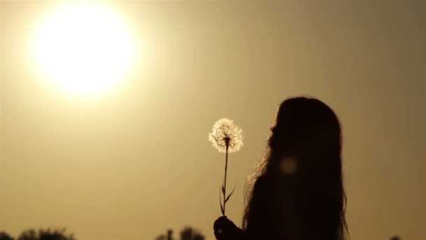 Siluet seorang gadis dengan bunga di bawah sinar matahari terbenam — Stok Video