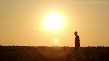 güneşin doğuşunu adam silüeti. özgürlük kavramı. uyum kavramı.