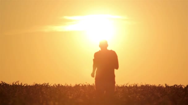 La silhouette dell'uomo all'alba. Il concetto di libertà. Concetto di armonia . — Video Stock