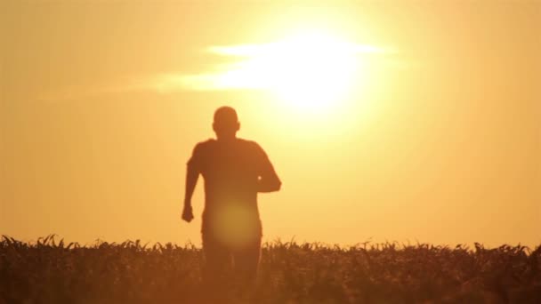 La silueta del hombre al amanecer. Concepto de libertad. Concepto de armonía . — Vídeos de Stock