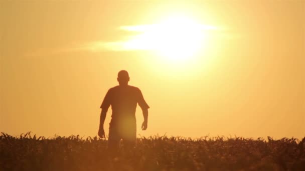 Siluett av man på soluppgången. frihet koncept. harmoni koncept. — Stockvideo