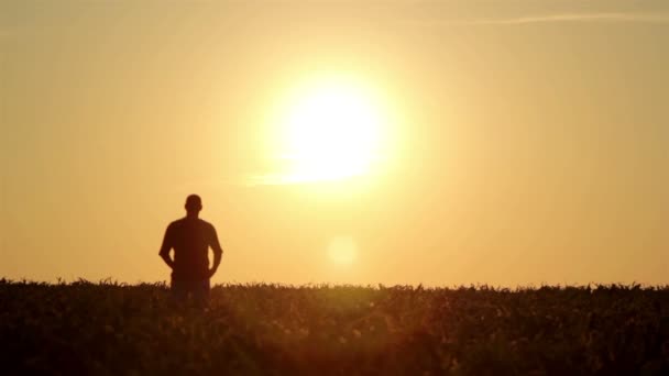 Silhouette d'homme au lever du soleil. Concept de liberté. Concept d'harmonie . — Video