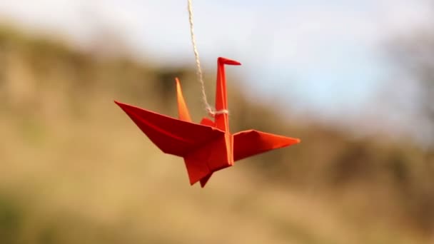 折り紙、折り紙の芸術 — ストック動画