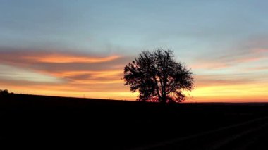 Şafak yatay, ağaç, ağacın arkasındaki sunrise