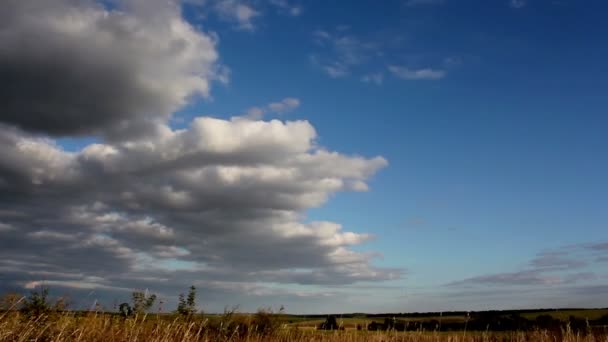 Rennende Wolken, schöne Regenwolken — Stockvideo