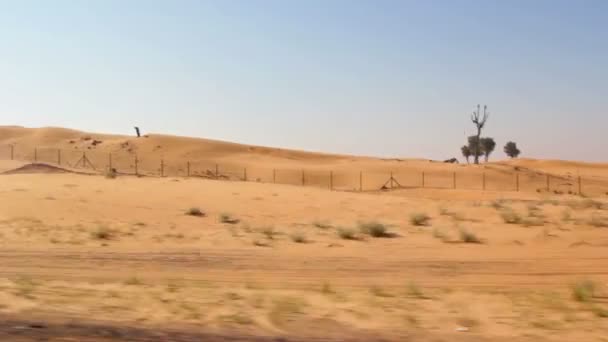 Paesaggio desertico (muoversi), dune nel deserto (muoversi ) — Video Stock