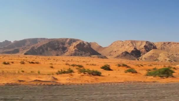 Woestijn landscape(move), duinen in de woestijn (verplaatsen) — Stockvideo