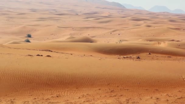 Paisaje del desierto, dunas en el desierto (movimiento ) — Vídeos de Stock