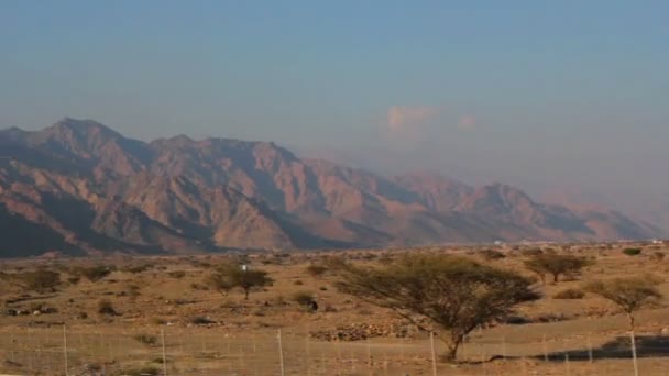 Woestijn landscape(move), bomen in de woestijn (verplaatsen) — Stockvideo