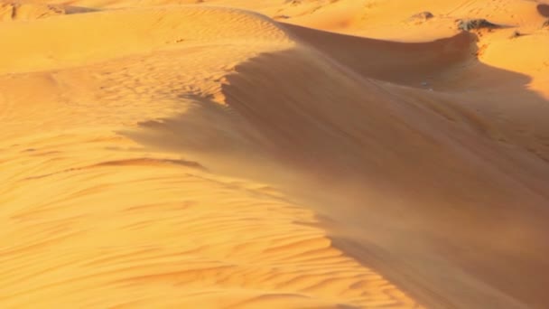 Paesaggio desertico, dune nel deserto (muoversi ) — Video Stock