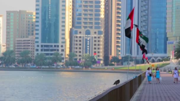 UAE.Shardzha.Corniche San Febrero 2014 . — Vídeos de Stock