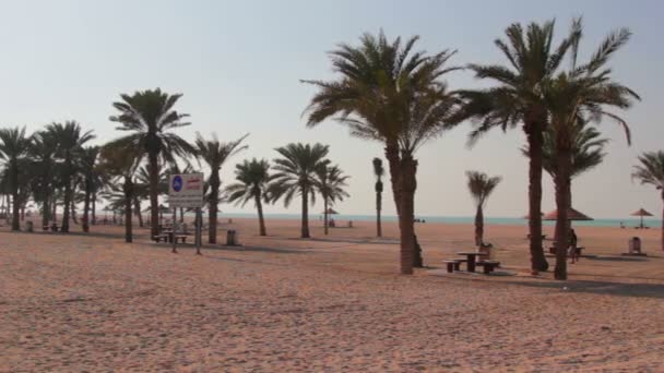 OAE.Adzhman.Al Muntazah St.febrero 2014.Beach Park — Vídeo de stock