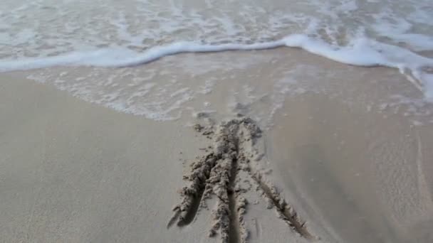 Sea wave washes away traces — Stock Video