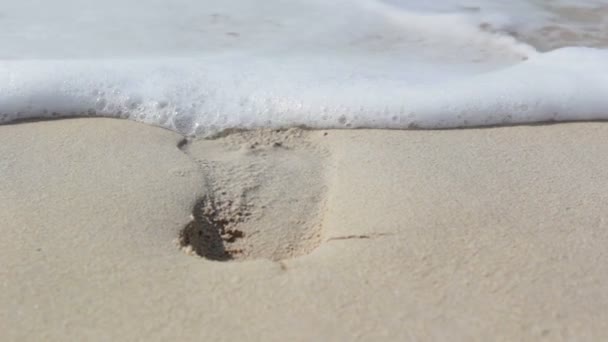 Deniz dalgası, uzakta iz yıkar — Stok video