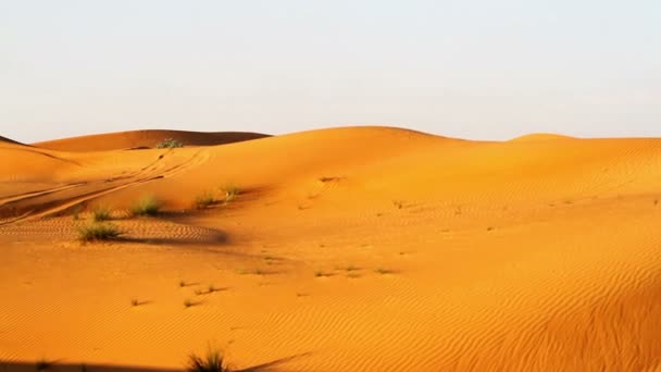 Paysage désertique, dunes dans le désert — Video