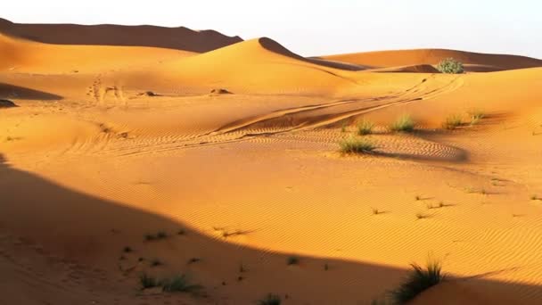 Paisaje del desierto, dunas en el desierto — Vídeo de stock