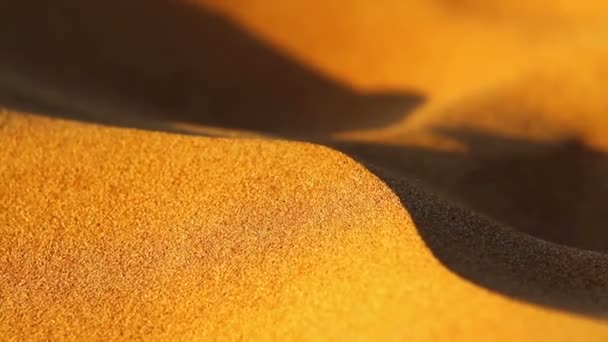 Woestijn landschap, duinen in de woestijn — Stockvideo