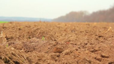 Bu alanın (toprak zeminde yürümeye dostum hareket ettirin.)