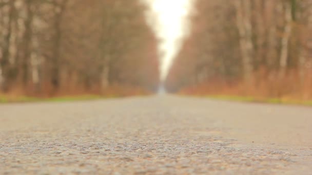 Verplaatsen langs de weg, man lopen langs de weg — Stockvideo