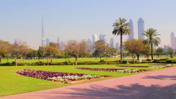 迪拜购物中心公园，2 月 2014.burj 阿勒哈利法萨法 uae.dubai.al — 图库视频影像