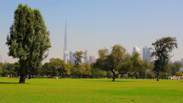 Uae.Dubai.Al safa park лютого 2014.burj Халіфа, торгового центру dubai mall — стокове відео