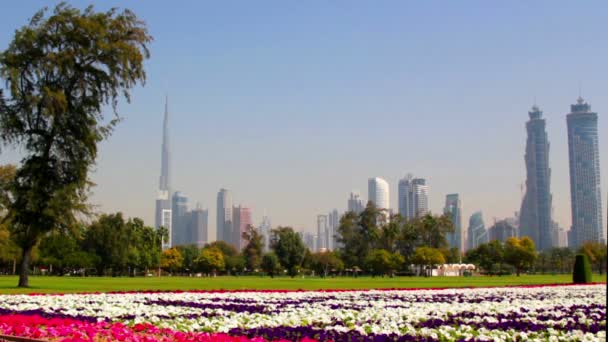 UAE.Dubai.Al Safa Park February 2014.Burj Khalifa,The Dubai Mall — Stock Video