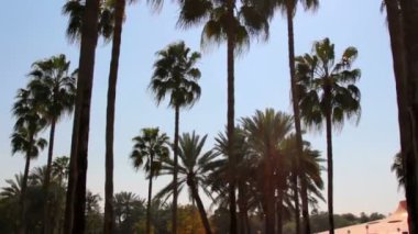 UAE.Dubai.al safa park Şubat 2014.