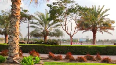 UAE.Dubai.al safa park Şubat 2014.