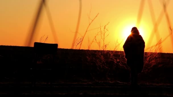Дівчина на світанку, дівчина в плетеному на сході сонця — стокове відео