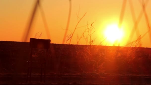 Ragazza all'alba, ragazza in plaid all'alba — Video Stock