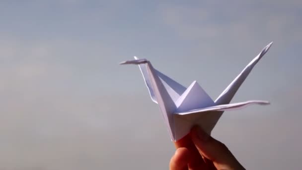 Origami, the art of origami — Stock Video