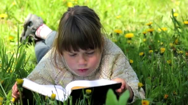 Menino lendo um livro, Criança lendo um livro no parque — Vídeo de Stock