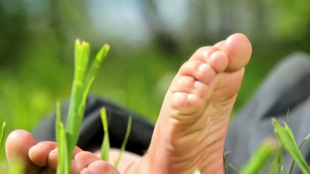 Pés e pernas criança, pés de bebê na grama — Vídeo de Stock