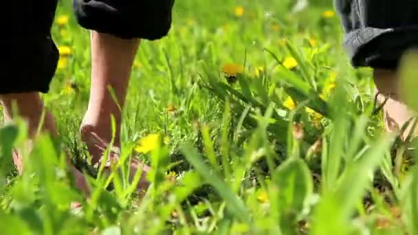 Fötter och ben barnet, barnets fötter i gräset — Stockvideo