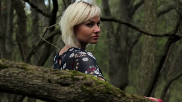 Красивая девушка в лесу, красивая молодая девушка с одуванчиком в лесу — стоковое видео