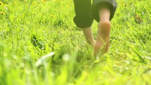 Děti si hrají na trávě, děti skočit, překulil, běh. — Stock video