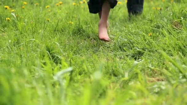 เด็ก ๆ เล่นบนหญ้า เด็กกระโดด ตีลังกา วิ่ง . — วีดีโอสต็อก