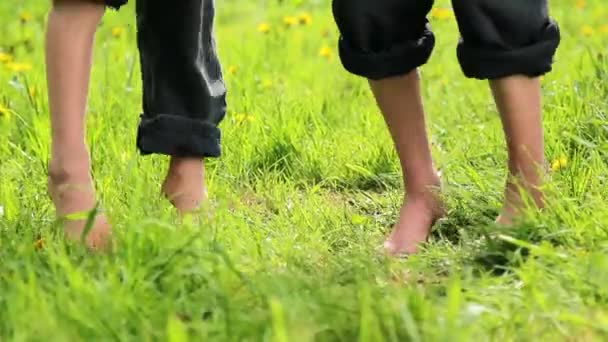 Kinderen spelen op het gras, kinderen springen, tuimel, te voeren. — Stockvideo