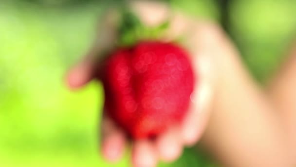 Frisch, saftig, Erdbeeren in der Hand. Hand hält frische Erdbeeren. — Stockvideo