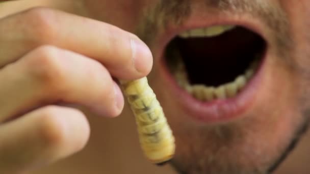 Homme gourmand dévorant les larves de scarabée larves de scarabée près de la bouche . — Video