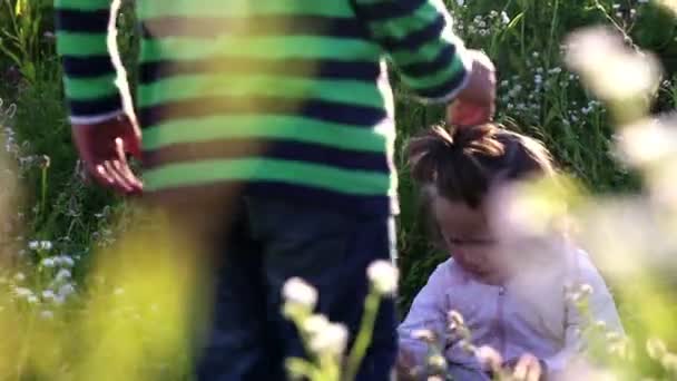 Niños jugando en el campo.Niño con una chica jugando en el prado . — Vídeos de Stock